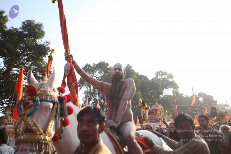 File:20160509 Photo 1181 1add9mcrYwol0ajy8Yvm81c8y88Aq-Peh.JPG