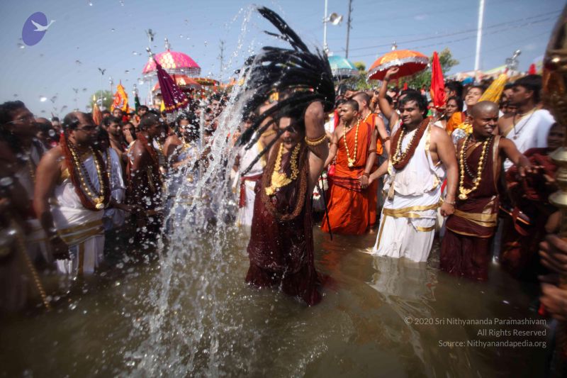 File:20160509 Photo 1741 1NluQ1miaRxa7cJFYlNt0AxT0ne4dQadH.JPG