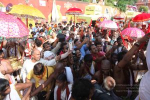 20160509 Photo 1796 15FqKpwMqjudqAp-PK peFCwhT8uI682q.JPG