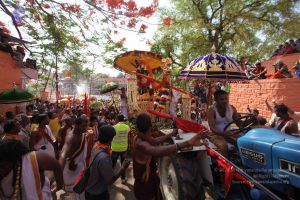 20160509 Photo 1861 1scmUKPTw82jAkc9zqG-UYty7jnMmzklX.JPG