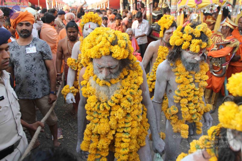 File:20160509 Photo 2036 17BULKloi4ygoDXyor3toDRwD840aZryv.JPG