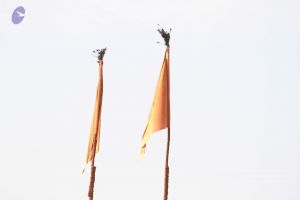 20160509 Photo 2058 1D-2PhhrFJI gDxfrr2mL0bE4Zj9p48hZ.JPG