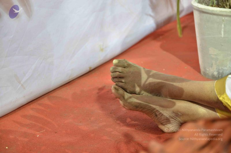 File:20160509 Photo 2162 1OFraOu9GSLgUpdGB61PY0siHqYltyMHk.JPG