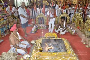 20160509 Photo 2167 1X~AU56NnAf19mFifI5-W0QI9uxA9z0v.JPG