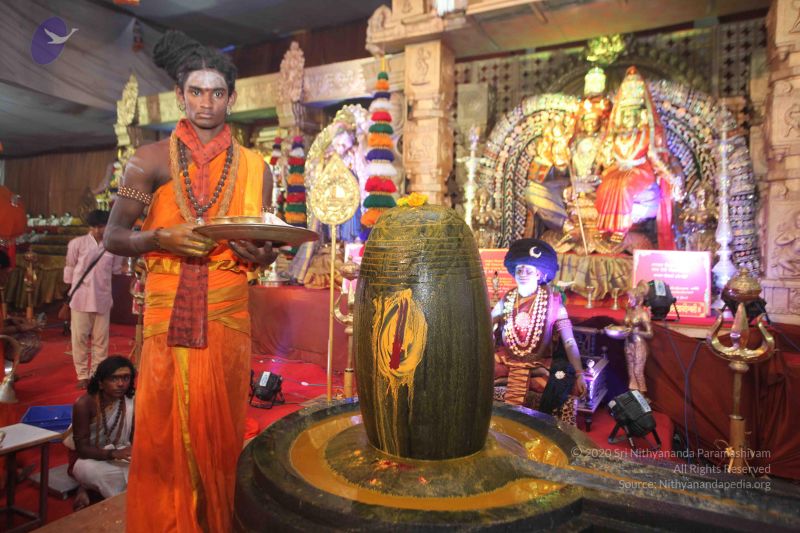 File:20160515 Photo 1194 1VNs0PgIhjKQHKnGjOmBa88hCPE72aX4E.JPG