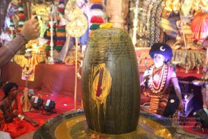 20160515 Photo 1197 1x MCKs1SnKv9PNm7jyC90Hk9YVDVE8et.JPG