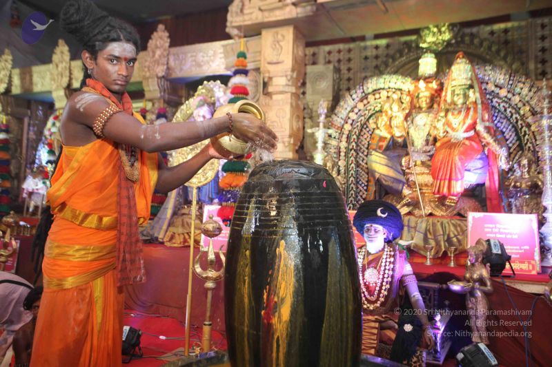 File:20160515 Photo 1204 1QHgq BKLcT59sWi-xPyl191KQ9bdE3MZ.JPG