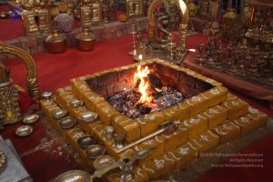 20160517 Photo 1013 1Axq6HimZxYsQArhWhHGDnbiZMIemdqsv.JPG