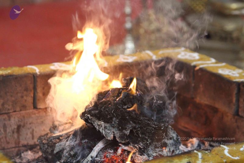 File:20160517 Photo 1016 1tzmPzlnGL6kN7bp3iFOKGsdhkuzNr0G8.JPG