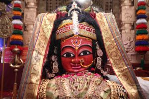 20160517 Photo 1026 14WLp2Ioby7VMAl9-DTAjQtDNbZrmyfSg.JPG