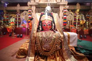 20160517 Photo 1029 1JtFcG-e12l8GgGx-5SY05XZbWT7ZqQev.JPG