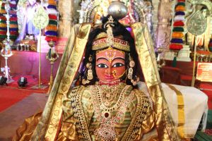 20160517 Photo 1284 1AWoLoUhcp8dyos2SVtXb5v2vW-gmZJD5.JPG