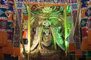 20160517 Photo 1310 1lHeOI0j4j4VAD9yX2uQGGfpiQj9CqhpW.JPG