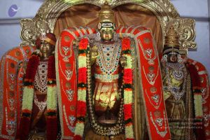 20160517 Photo 1328 1YgQof1a5Qzhu-evPhB9s5z5NYH8M8eIs.JPG