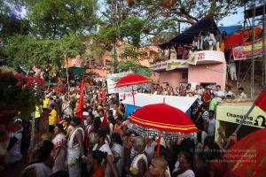 20160521 Photo 1155 1lkHfpkVXZUGxKP685S5c0UpD1ioIdl-2.JPG