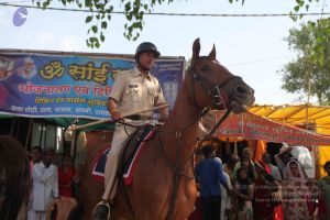 20160521 Photo 1377 15-ln2yzzyPb-wdyao37v M-mjLgLMXXe.JPG