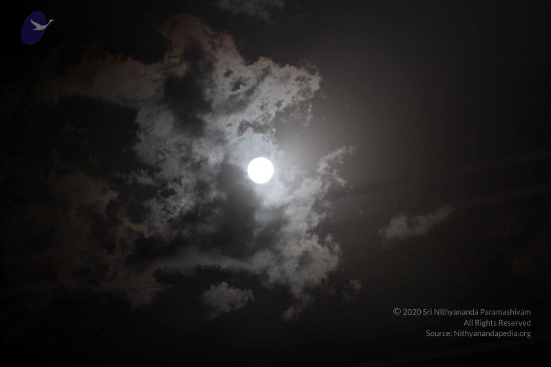 File:20160521 Photo 1664 1Tz372NJ8LWzYMvE5zronA02UqF8dgTGg.JPG