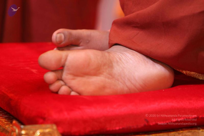 File:20160524 Photo 1107 1VdTDoPlmO eiZzSEJUl6xZPtJlX6CAw6.JPG