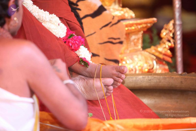 File:20160524 Photo 2607 1fRp5gFFIyi1wf8omv5WJhhSnzEukhzzB.JPG