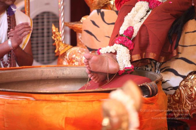 20160524 Photo 2660 1r1tarEWxT9HwG7jPV9rrq u5 DZM9YQ5.JPG