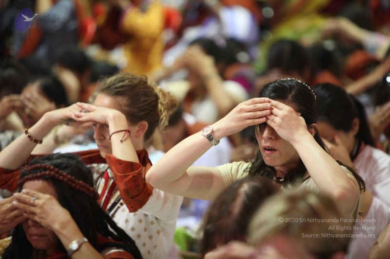 File:2016057t Photo 1272 1VR7 5HnWddc9fWPH5fv265eMy0968w48.JPG