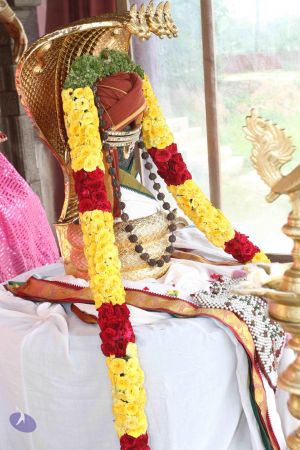 20160615 Photo 1199 1U2jdihooYsImy1WXe4O0NkQPR8g3QNJt.JPG