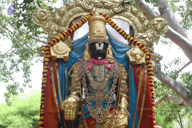 20160615 Photo 1213 1xXmGCdx1rk-aoZKw183V20J4j5Y2xYGR.JPG