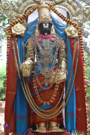 20160615 Photo 1214 1 7glIqRsTXWV5xF0 i6KU-bR0IO6hvEJ.JPG