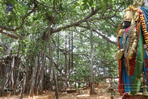 20160615 Photo 1224 1T1htnImeDFknUFuVyxdLE94QrRAEuiJe.JPG