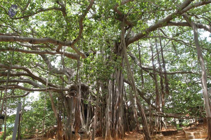 20160615 Photo 1228 1vw1Hnv3Dbhadjen79f1cx2u1JmGYbLmN.JPG