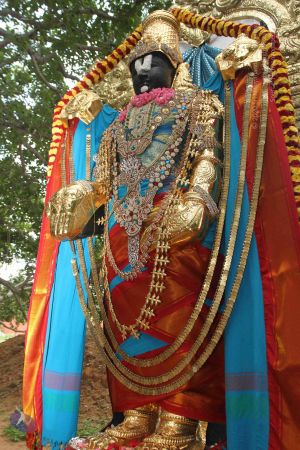 20160615 Photo 1232 1zYHjx8p7s09lS0aY0RCGbvmrZ9bEp-2x.JPG