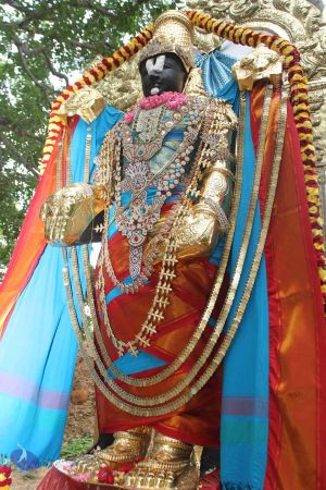 20160615 Photo 1234 1OTAmSU0PNddP70F1Wm7cVIZ8spqH9-8Y.JPG