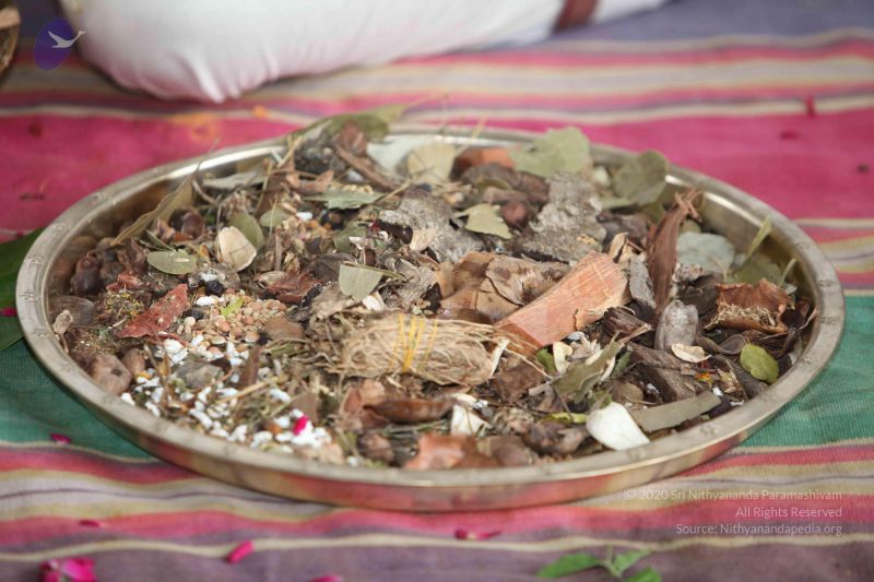 File:20160702 6298 CMP WM.jpg