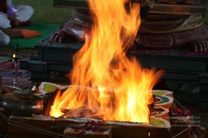 20160702 6324 CMP WM.jpg