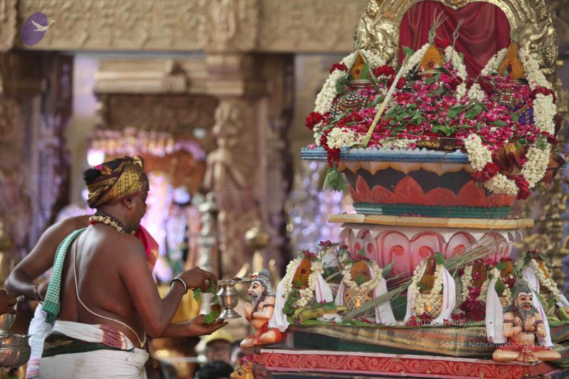 File:20160702 6378 CMP WM.jpg