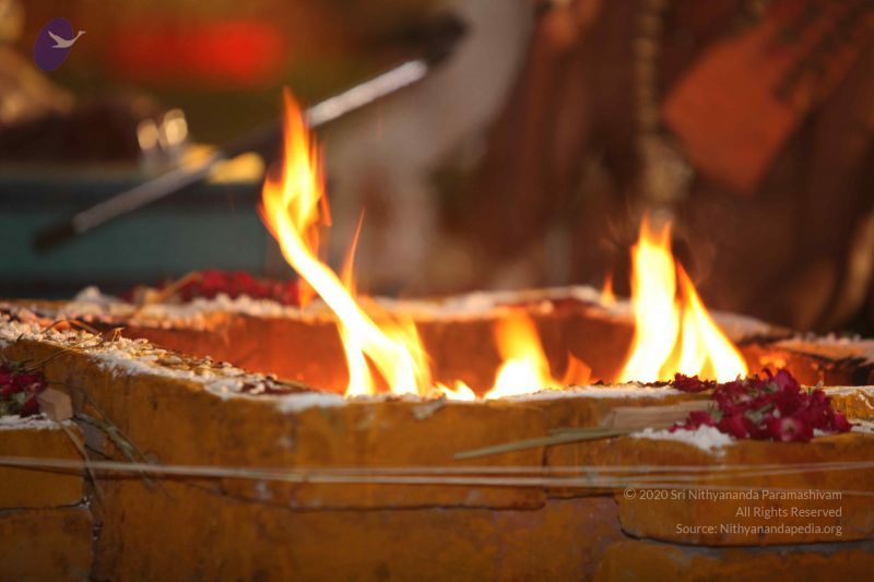 File:20160703 Photo 1127 1brQlvehINWBGIghttYG8Fzjn8WNwCL7q.JPG