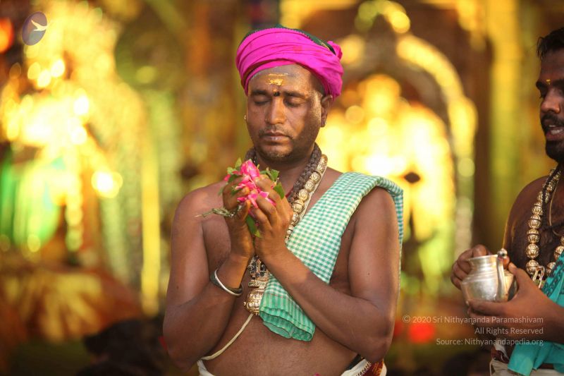 File:20160703 Photo 1216 1h6t7o0UyU-mTCVqOaM 5IRMatAr6VUBF.JPG