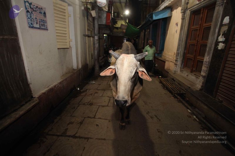 File:20160710 Photo 1158 1PAyHaJho GLzKi5NzOw9BfRG5Zzjj60x.JPG