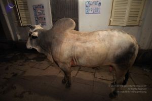 20160710 Photo 1159 1sBKeWDc VF19q7KNaV6H1Ho9FzJ3mT-y.JPG