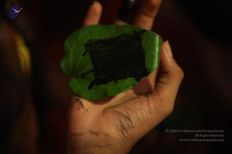 File:20160718 Photo 1090 1JGyvRefPdDRXK5oAsjC0LIab5JVZSnPb.JPG