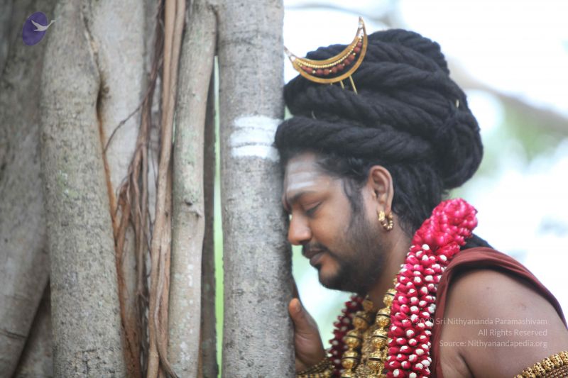 File:20160719 Photo 1139 1kIeX6ebcUQcm8NU85LXPEKfxA hkxw0-.JPG