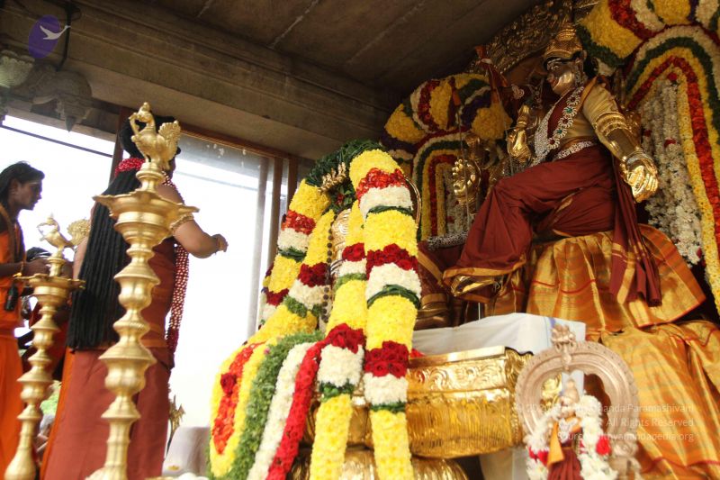 File:20160719 Photo 1262 1FzeKlwwHpShutKvRsSjrtxzx32Ixtv3W.JPG