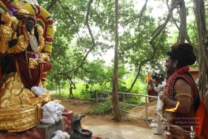 20160719 Photo 1309 1uJdfsMK4ur3q3zjUkaI5RYJv0Ma7Cpe4.JPG