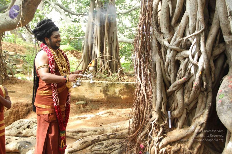 File:20160719 Photo 1317 12BAQf6wT7Ey6QwCOV8usOBRSp7Dr mcR.JPG