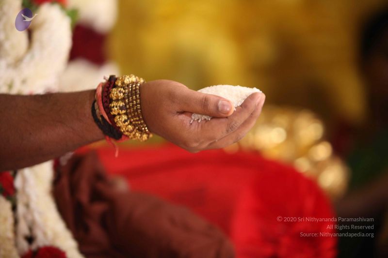 File:20160719 Photo 1989 1tZtxIt4kqIC499zLizYan b1uFF0c1TS.JPG