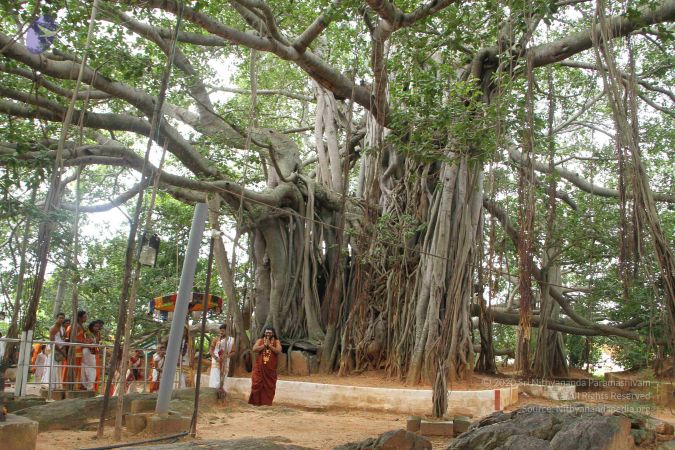 20160802 Photo 1022 1kVR- nTIlEzn-AHtJ8j9 YpJjSE6AmMO.JPG