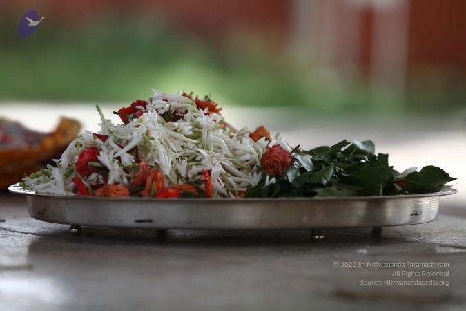 20160802 Photo 1052 1ulnOBMl3K0P2ibP8Lpgalhwz7kkwsktO.JPG