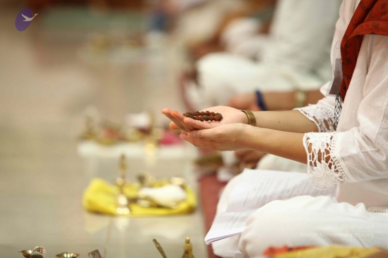 File:20160809 0352 CMP WM.jpg