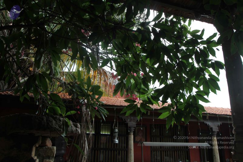 File:20160813 Photo 1090 1yxFvHXz0CcewjbYcTWi7jNaUeEr7TBXt.JPG