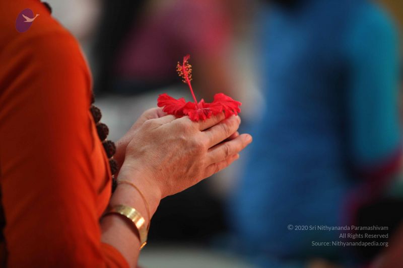 File:20160816 Photo 1019 19Dx 6BH0NJQnv-lWGinrv8Q2MTsuXrlS.JPG